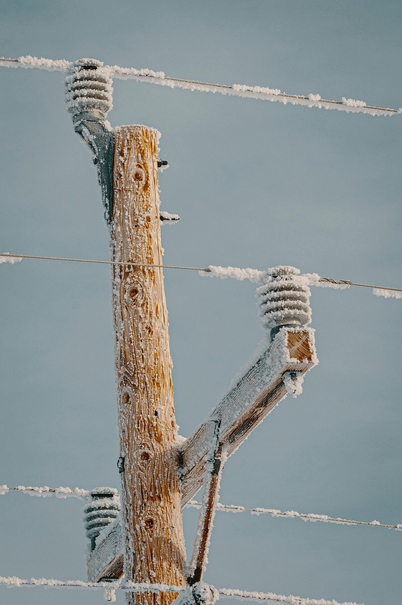 Emergency Poles